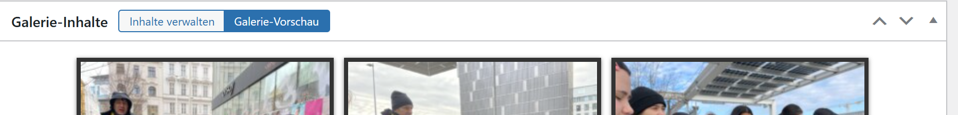 WP_10_FooGallery_Vorschau.png
